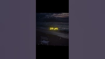 وما كنتم تستترون ان يشهد عليكم سمعكم / ياسر الدوسري / قران كريم / سورة فصلت / كرومات شاشه سوداء