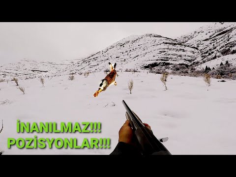 İNANILMAZ AVLAR| ( TAVŞANIN İZİNİ TAKİP EDİP ELİMLE YAKALADIM) Hare partridge hunt.кролик утка охота