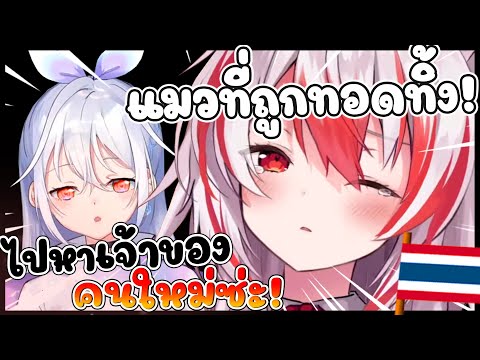 ความรู้สึกของ โคฮาคุ หลังคูจัง จะจบการศึกษา.. [ Vtuber Hololive ซับไทย ]