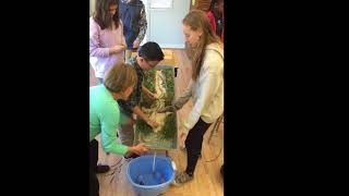 SSFS 6th Grade Science: Watershed time-lapse
