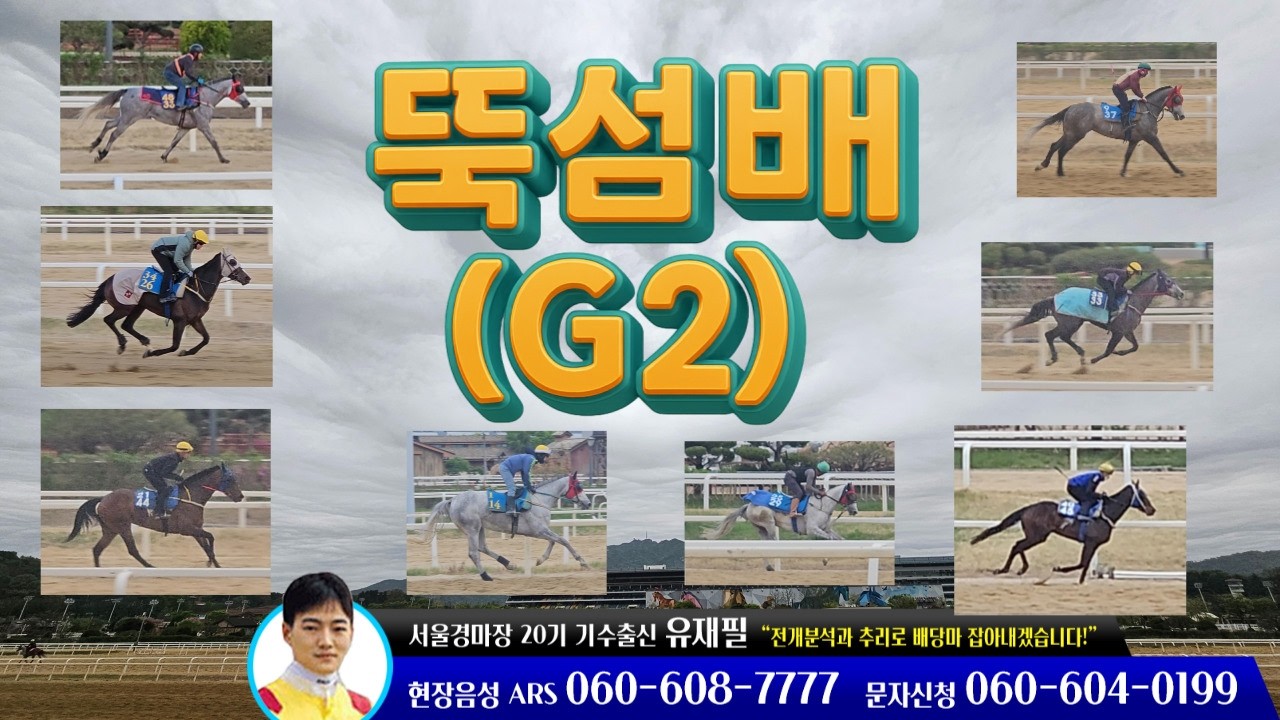 [2026년 제37회 뚝섬배(G2)조교현장/유재필의 미.보.경] 미리 보는 경마~!