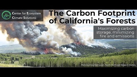 Carbon Stability in California Forests