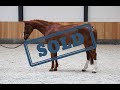 (SOLD) Caba Fine schooling