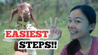 How To START A Goat Farm in 2024? The 3 EASIEST STEPS! by An, The Farmer  397 views 6 months ago 5 minutes, 31 seconds