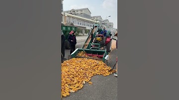 Fully automatic corn threshing machine, dual-dry wet and dry corn threshing machine