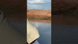 Places On Earth That Dont Feel Real Zambia