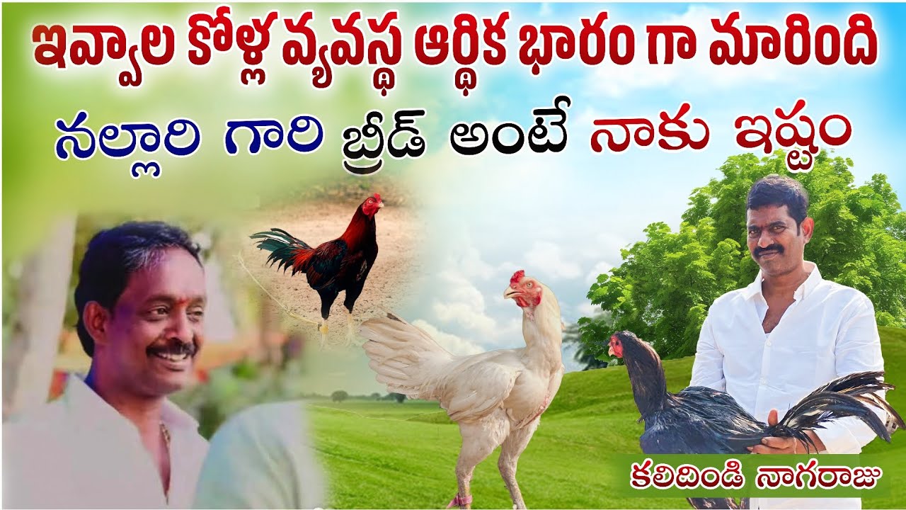 కలిదిండి నాగరాజు గారితో మాటా మంతీ #eskurifarms #trending