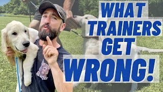 What YouTube 'Dog Trainers' Get WRONG!!