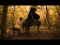 橋本一子 / ichiko hashimoto / view 【official music video】