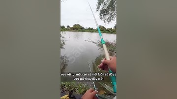 Câu cá tự nhiên xem có gì /Phần 17 , săn cá tv