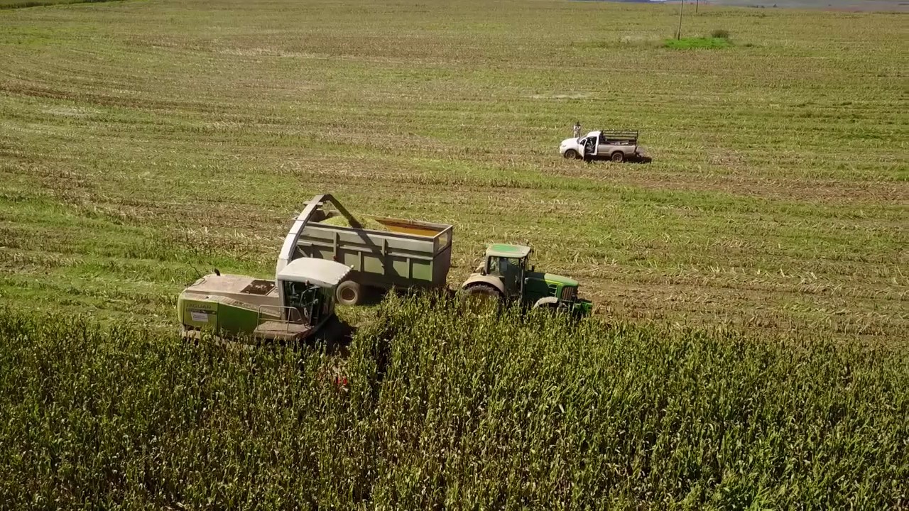 Dairy Farm in South Africa