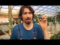 Compost Crazy with Matt Powers!! in the Baker Creek Greenhouse