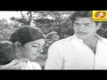 Malayalam Evergreen Film Song | Chempakappoonkaavanathile | Aabhijathyam | K. J. Yesudas