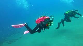 Buceo en Lanzarote 2022