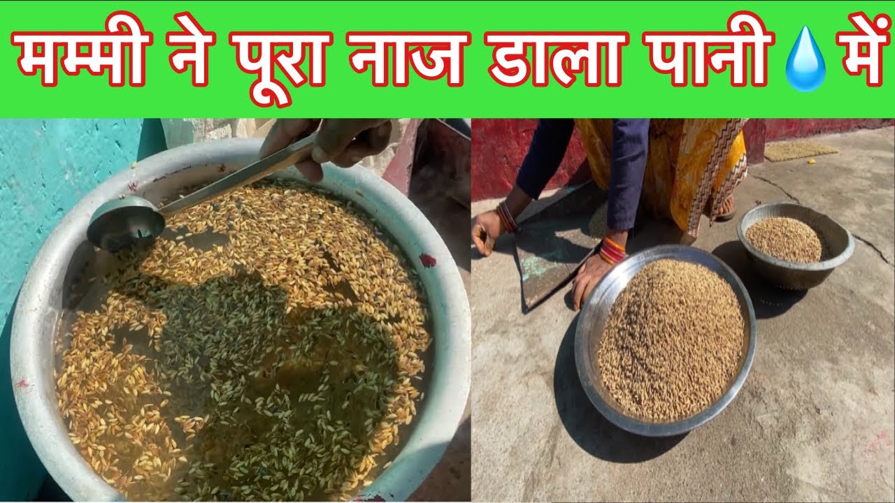 मम्मी ने डाला नाज़ पानी 💧में 