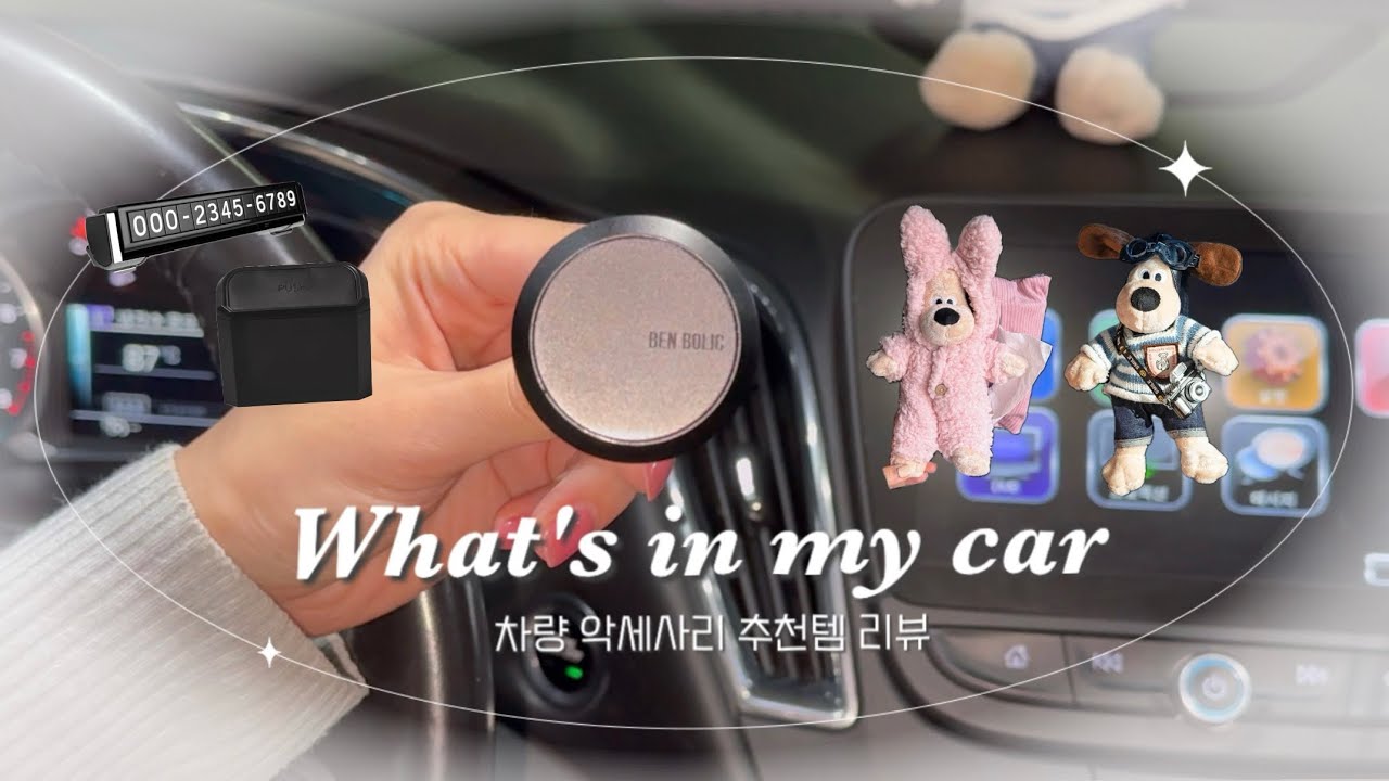 [Review] 왓츠인마이카 | 차량 악세사리 추천템 리뷰 