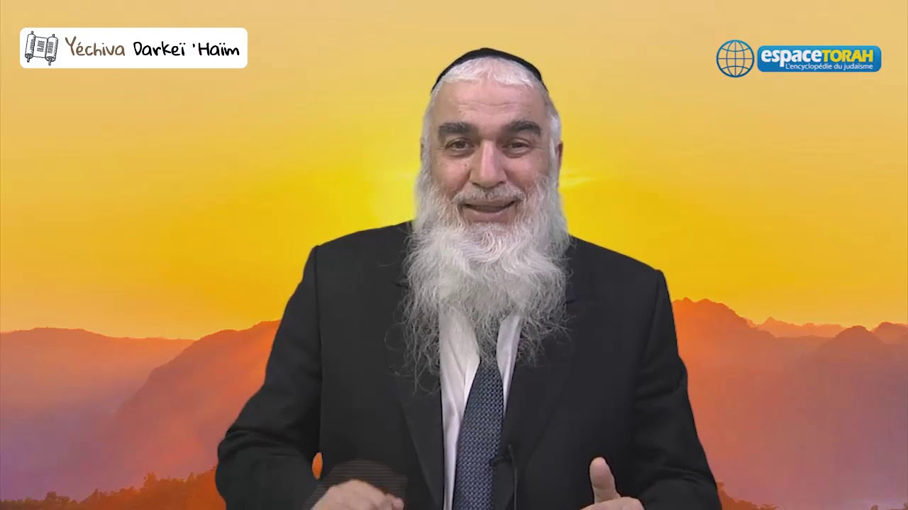 207. Les conditions pour se connecter à la Torah (2)