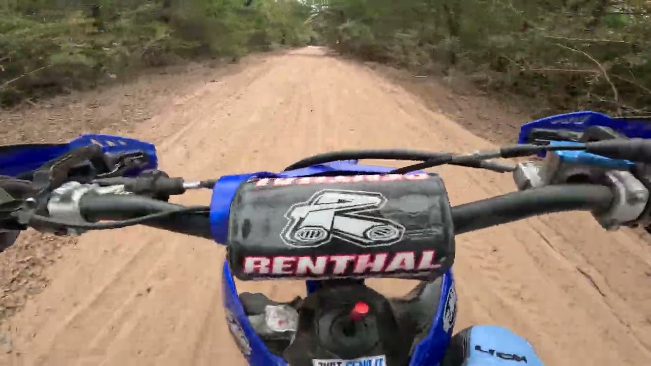 85A tx2 robins nest p1