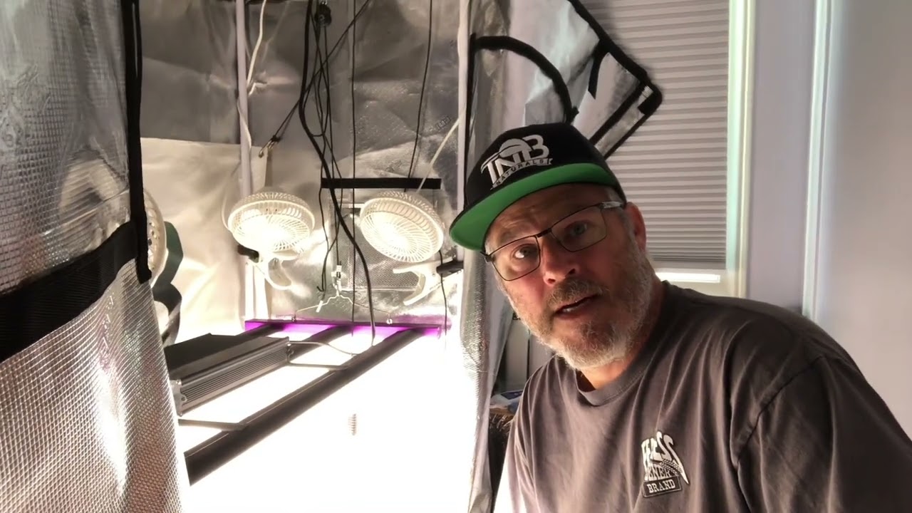 Kyles SkyWalker OG Day 31 