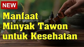 Manfaat Minyak Tawon untuk Kesehatan