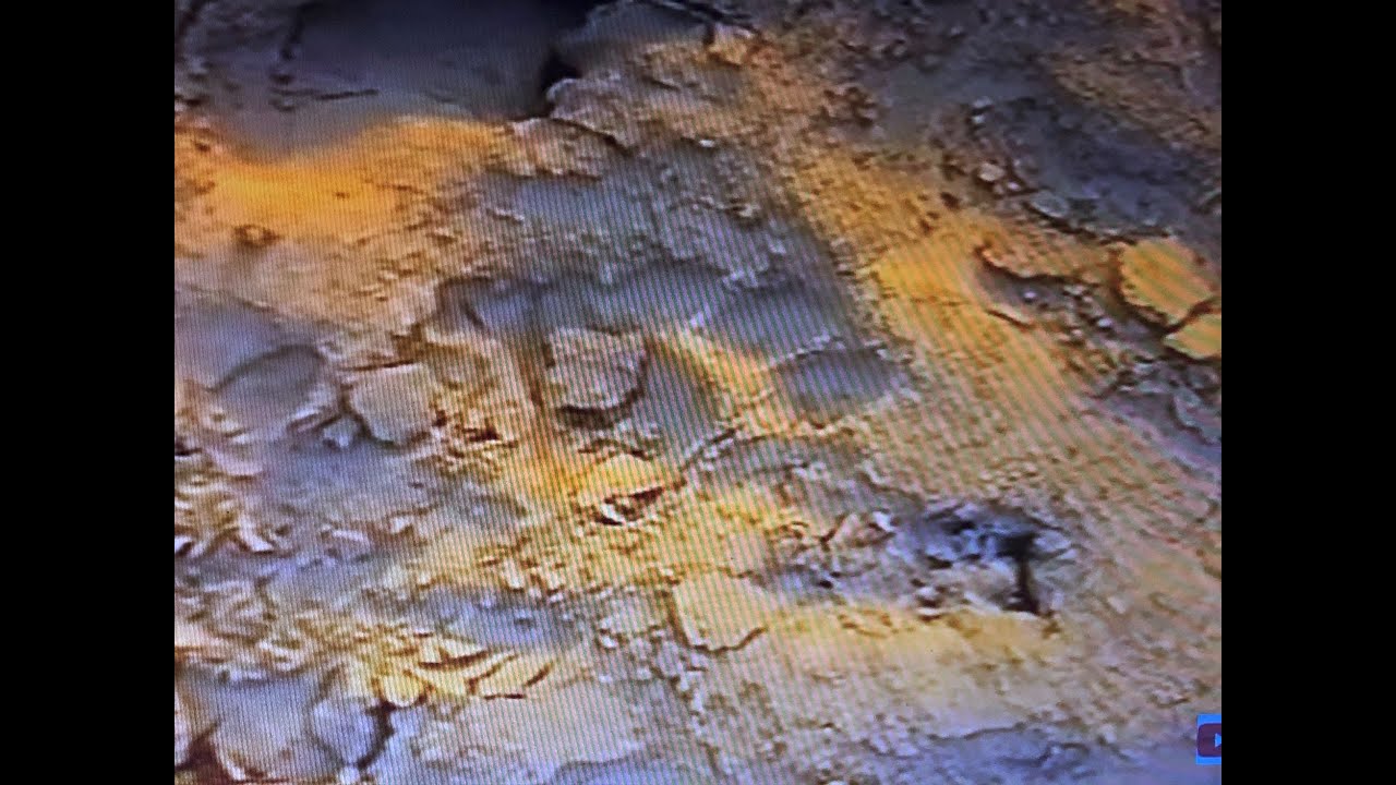 Following in the footsteps of lions on a walking safari in Zambia