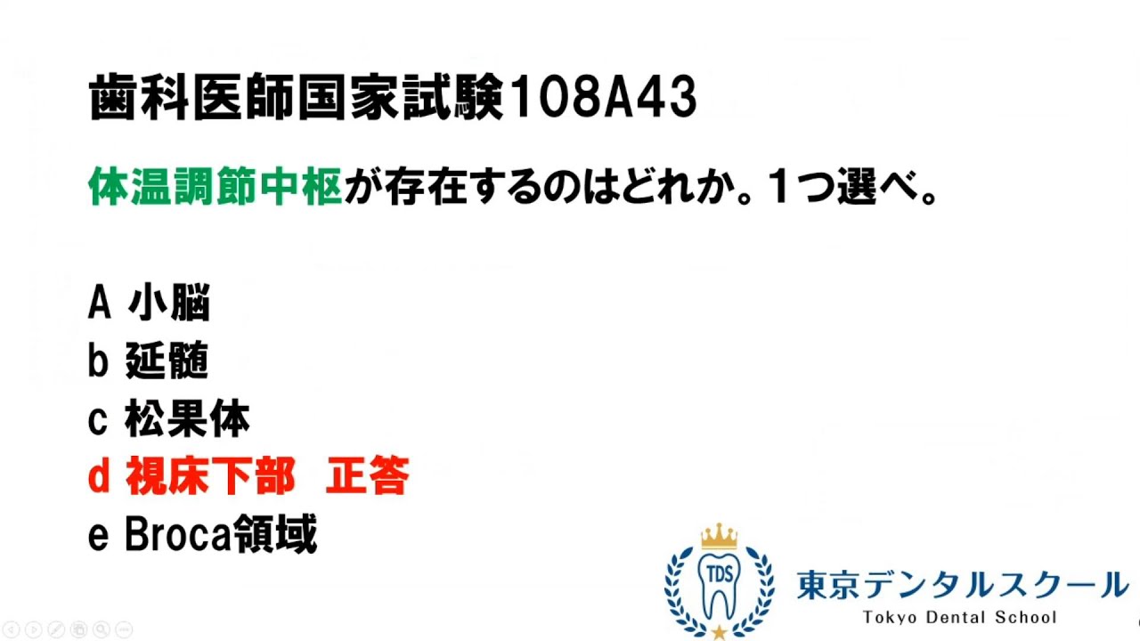 延髄と視床下部 3分で学ぶ国家試験対策の生理学 - YouTube