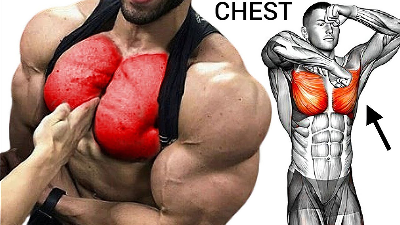How to Get Chest Complete Chest Building Exercises YouTube