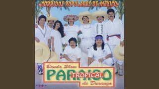 Video thumbnail of "Paraiso Tropical - El Toro Palomo"