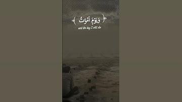 القرآن الكريم راحة نفسية تلاوة خاشعة حالات واتس اب دينية