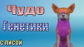 ЧУДО ГЕНЕТИКИ, Лисы- The Sims 4 \