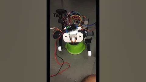 quadruped robot