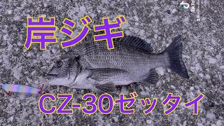 川崎新堤防　　シーバス　岸壁ジギングコアマンCZ-30ゼッタイ