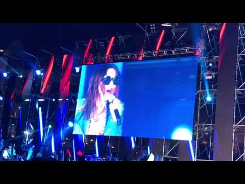 Leon Lai- Sammi 2017 penguin in live