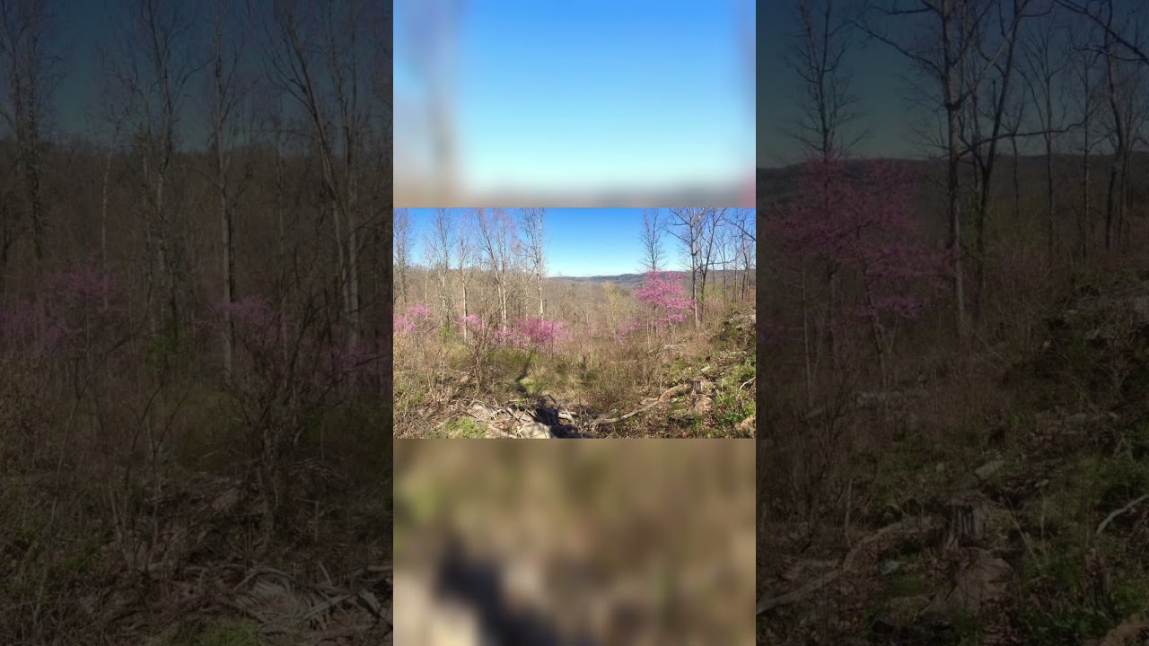 Beer Garden at Gravity BrewWorks 