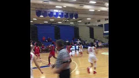 Glenda Chatman Class Of 2021 Point Guard Dickinson...