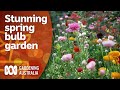 A colourful garden full of spring bulbs  garden design and inspiration  gardening australia