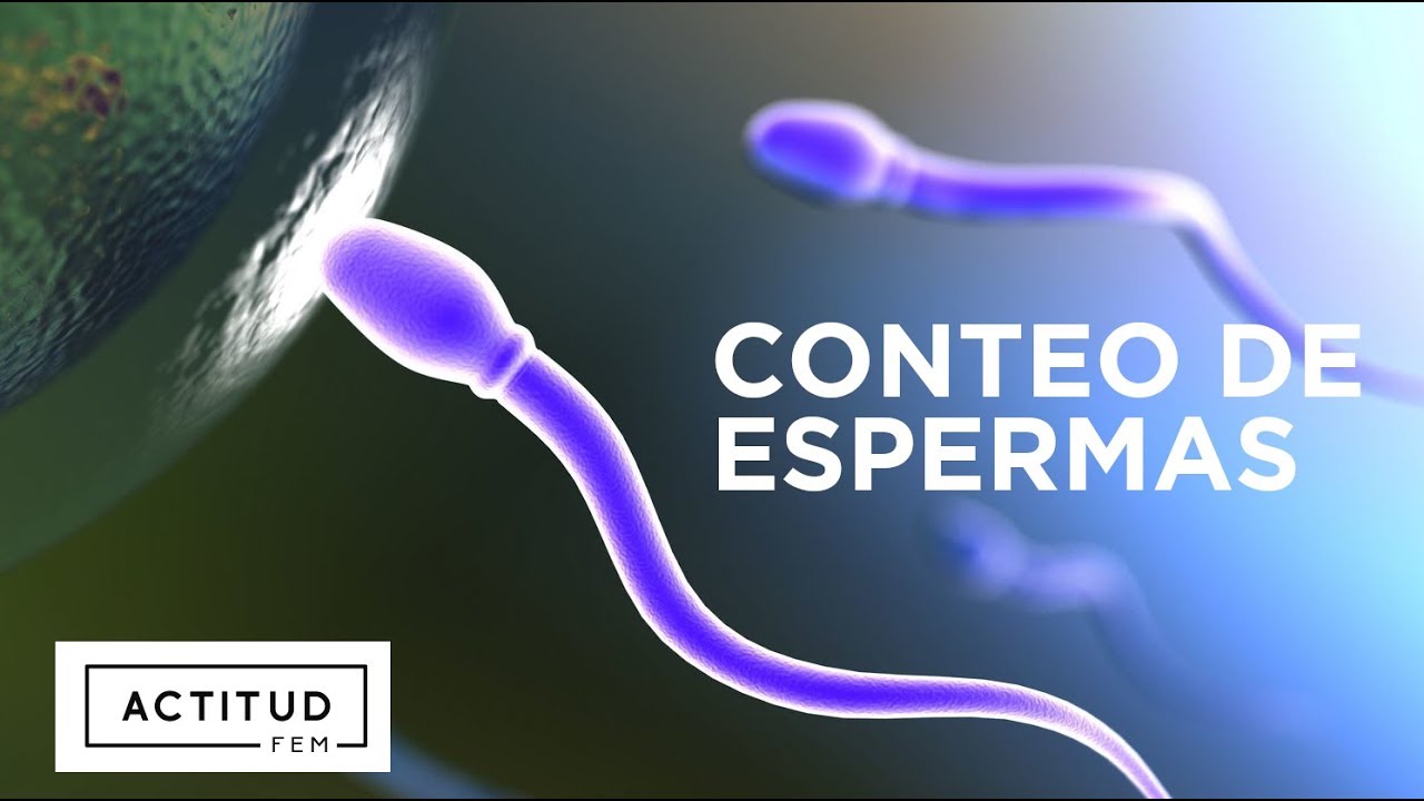 Movilidad y conteo normal de espermatozoides | ActitudFEM embarazo de 22 semanas