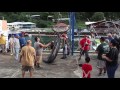 17th Steinlager I'a Lapo'a Fishing Tournament – Day No.1