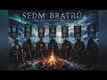 Sedm Bratrů @wildpulseaudio