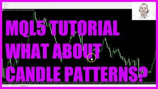 LEARN MQL5 TUTORIAL BASICS - CANDLE PATTERNS Net Worth