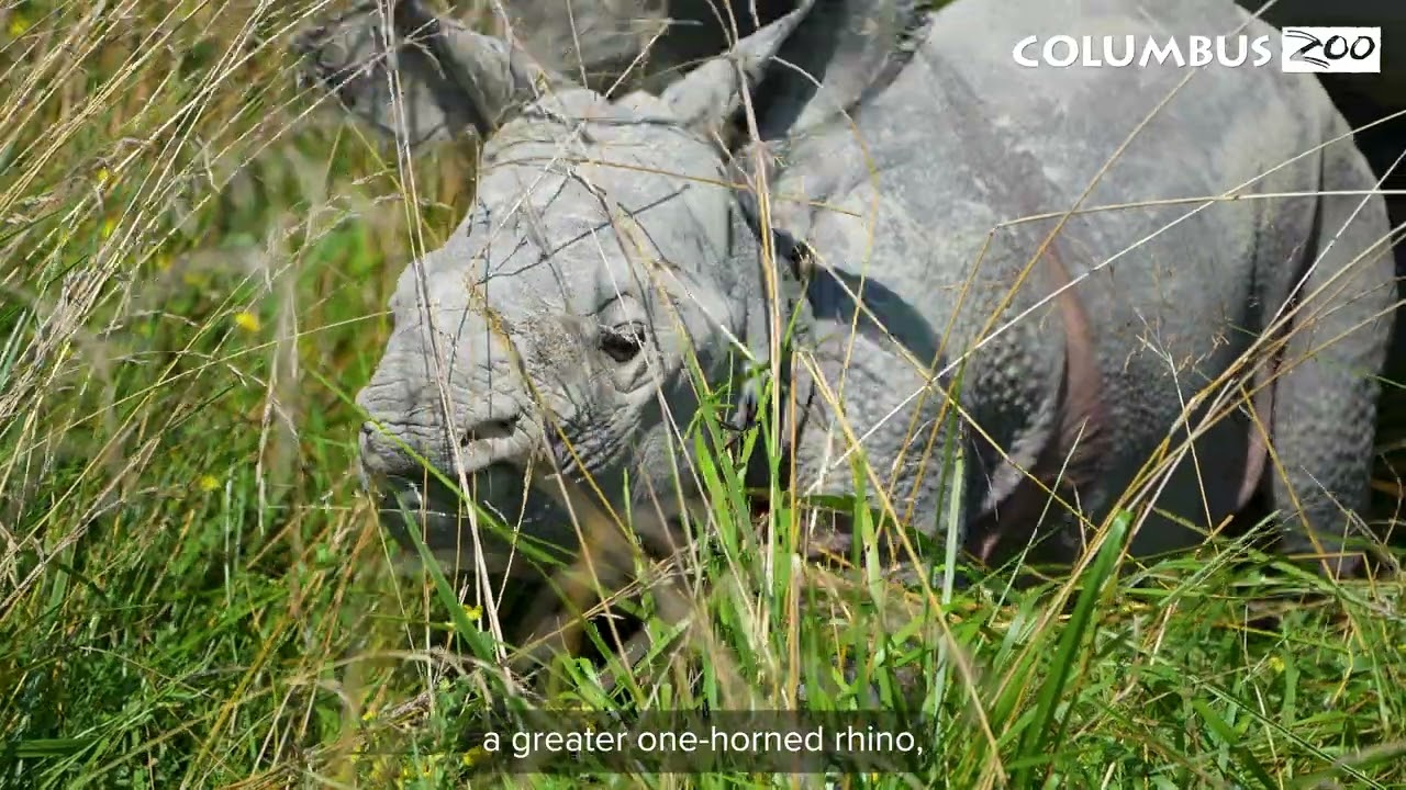 2025: A Year of Historic Openings