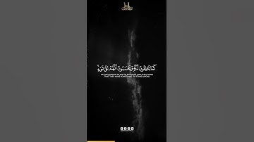 Surah Al Mujadila Verse-18 | سورة المجادلة الآية 18 | Abdun Nasir Khan