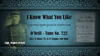 I Know What You Like No. 722 - Jig In G Major, 160 Bpm
