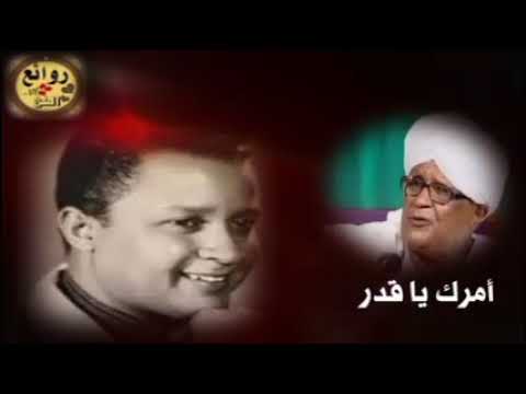 صلاح مصطفي مشي امرك ياقدر عود