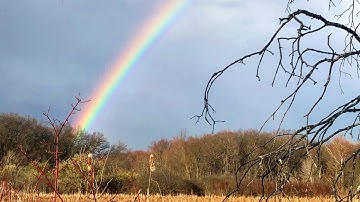 We Will Get Through This Together.