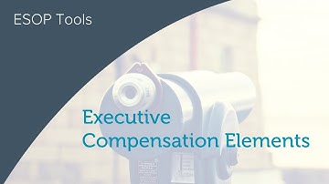 Executive Compensation Elements