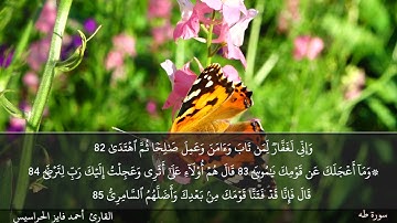 الصفحة 317 سورة طه بصوت القارئ المهندس أحمد فايز الحراسيس