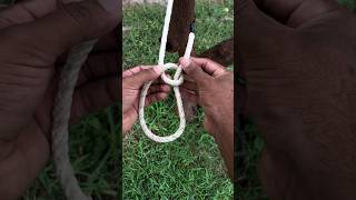 World Most Trusted Loop Knot 👌
