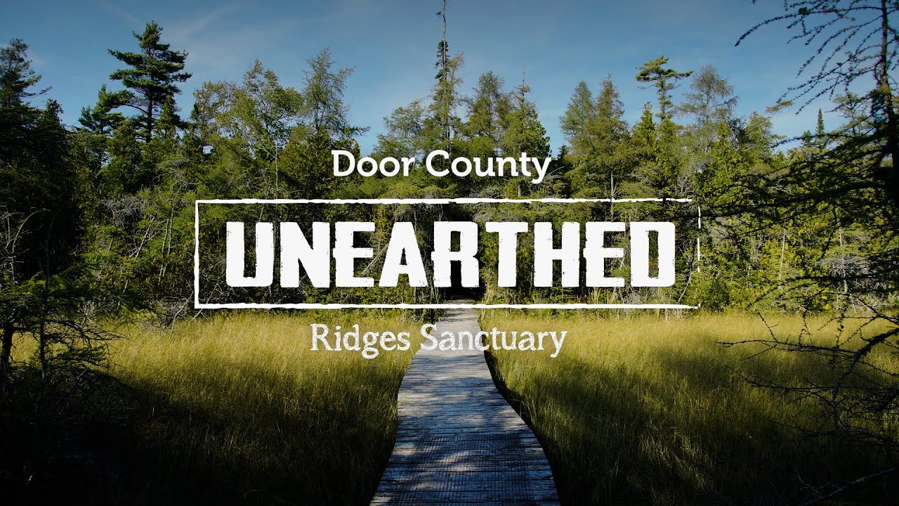 The Ridges Sanctuary in Baileys Harbor Door County Unearthed YouTube