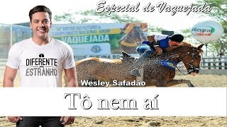 Wesley Safadão - Tô nem aí  [Vaquejada]